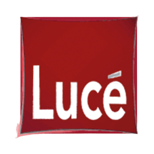 logo-luce-removebg-preview.png