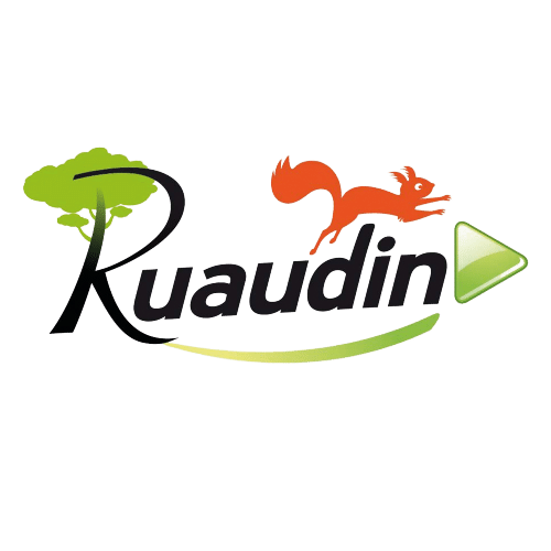 logo-ruaudin-removebg-preview.png